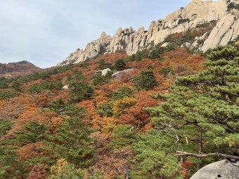 강원도 설악산 단풍