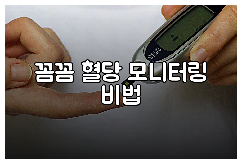 꼼꼼 혈당 모니터링 비법