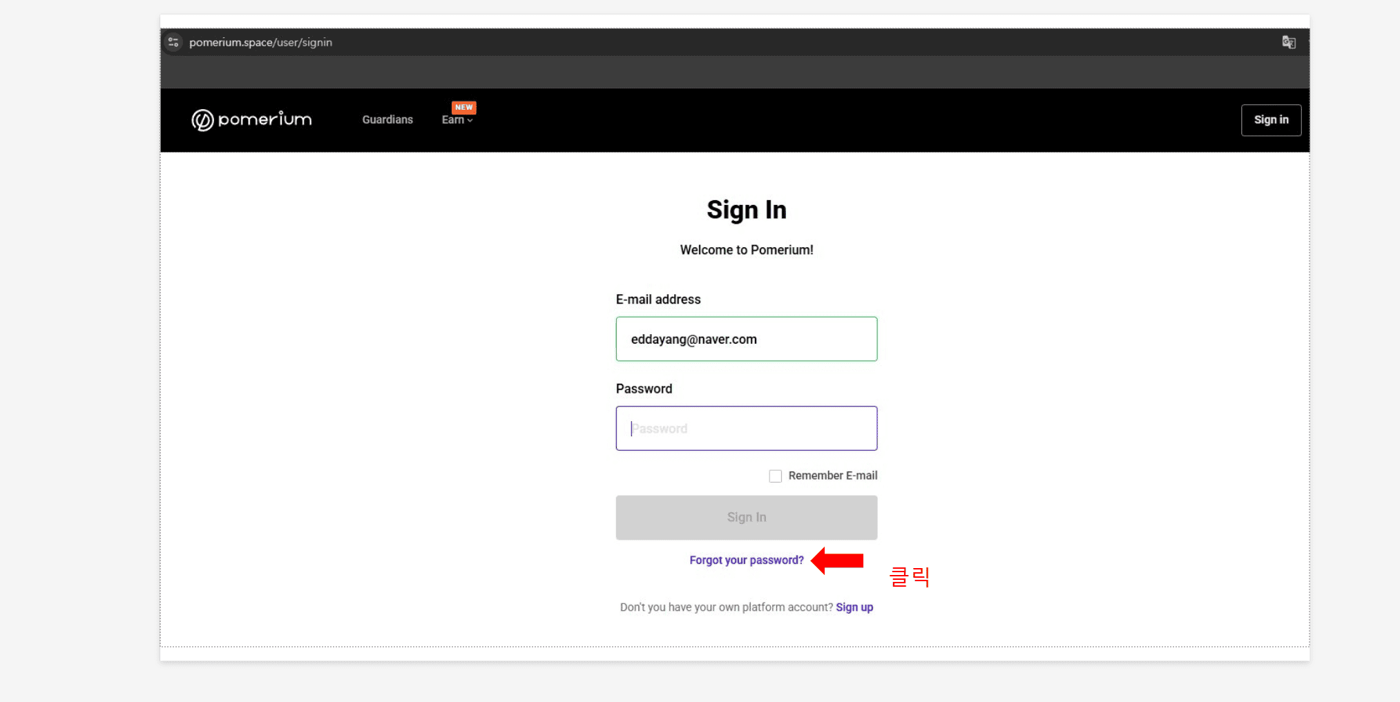 포메리움 비밀번호찾기2
