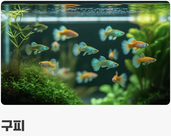 평화를 사랑하는 &amp;#39;최고의 룸메이트&amp;#39;