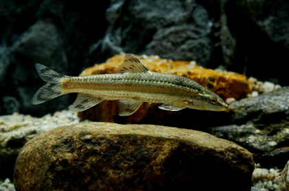 90년대와 2000년대 한국영화 비교