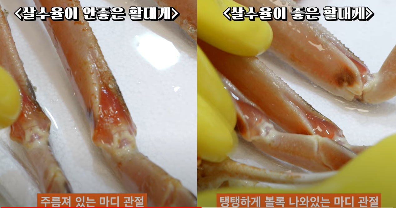 대게고르는법