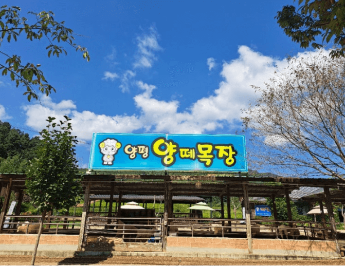 양평-양떼목장