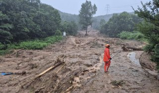 국가소방동원령 발령 조건