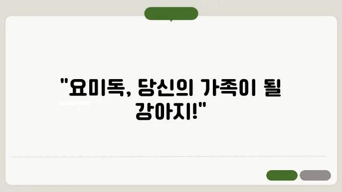 군포강아지무료양 요미독