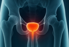 전립선에 좋은 음식