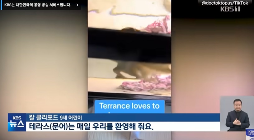 문어의 예상치 못한 변화