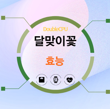 달맞이꽃 효능 탐구