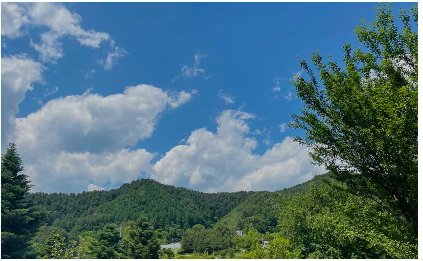 일상으로 부터 벗어난 천연자연