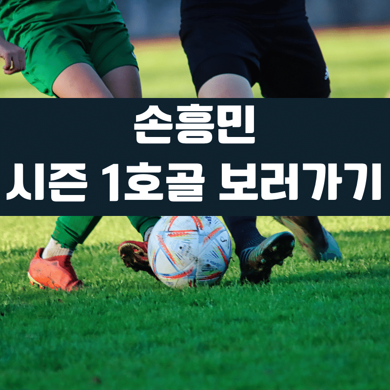 손흥민 골 영상