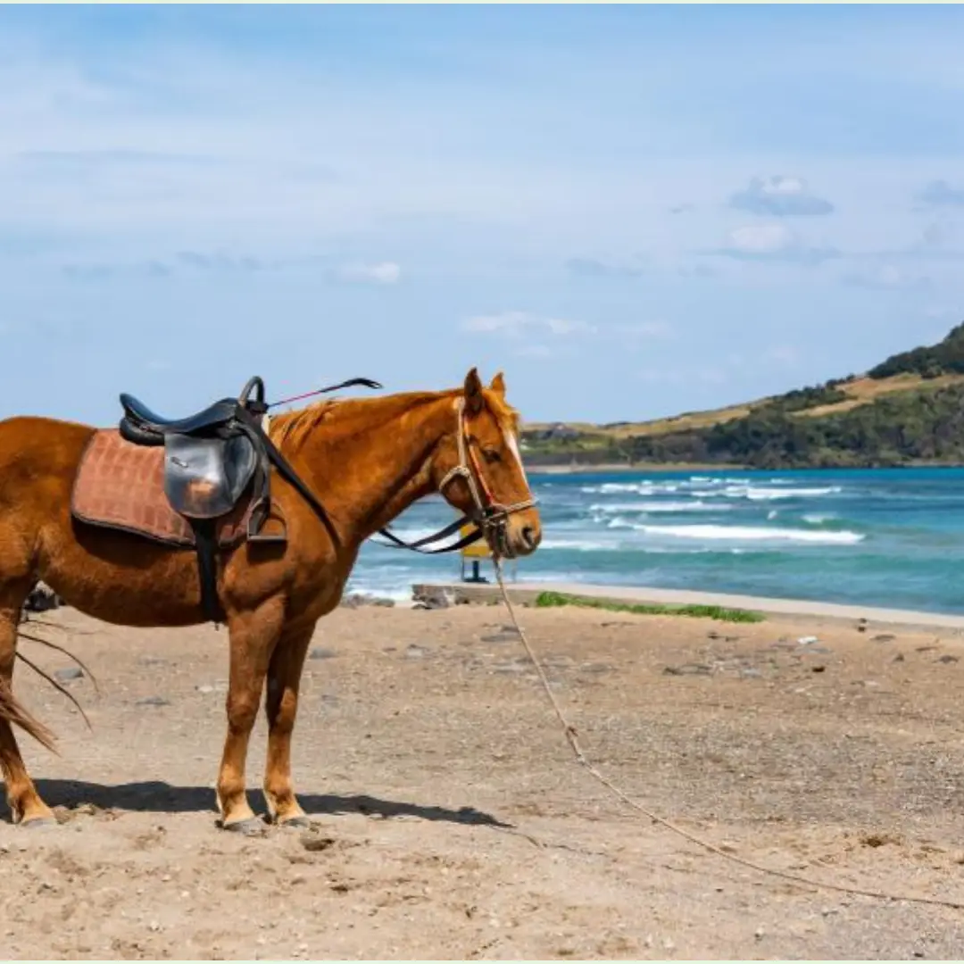 제주 바다&amp;#44; 제주 여름&amp;#44; 물놀이