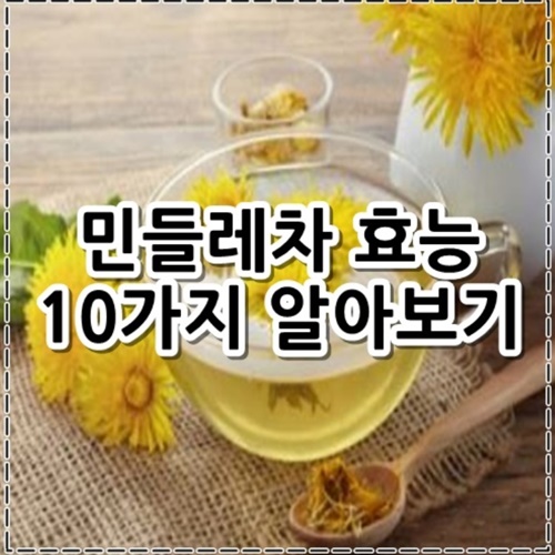 민들레차 효능 10가지 정리