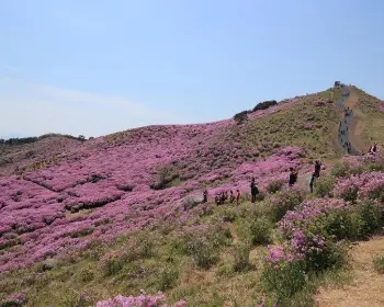 황매산 철쭉축제_22