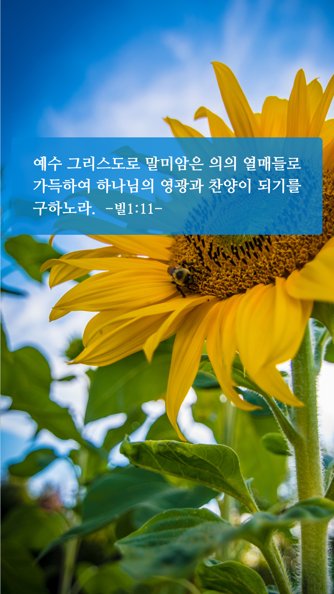 유명한 성경구절