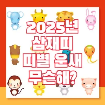 2025년 삼제띠 들삼재 눌삼재 날삼재에 대한 정보_26