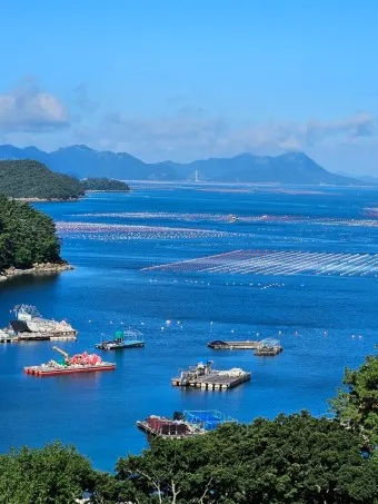 통영 가볼만한곳 베스트10 현지인 추천 필수코스_7