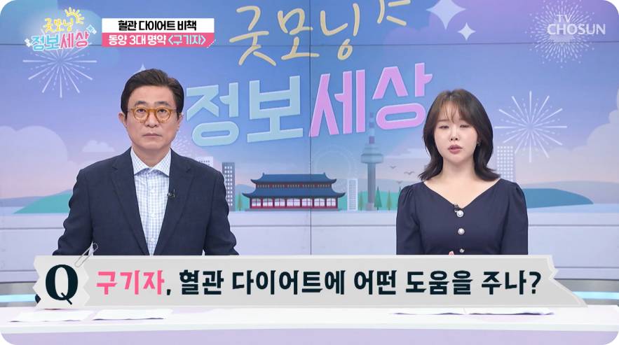 tv조선 굿모닝 정보세상 구기자