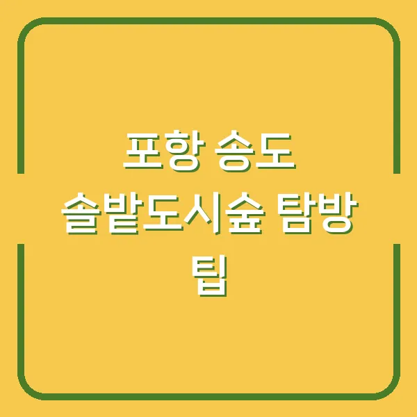 포항 송도 솔밭도시숲 탐방 팁
