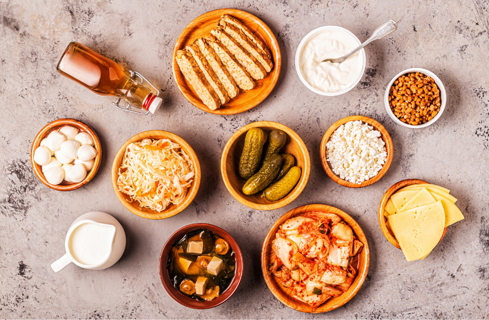 유산균 프로바이오틱스 차이점