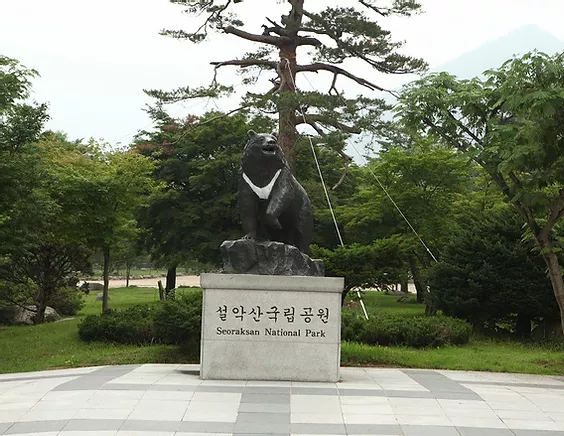 설악산 케이블카 탑승방법