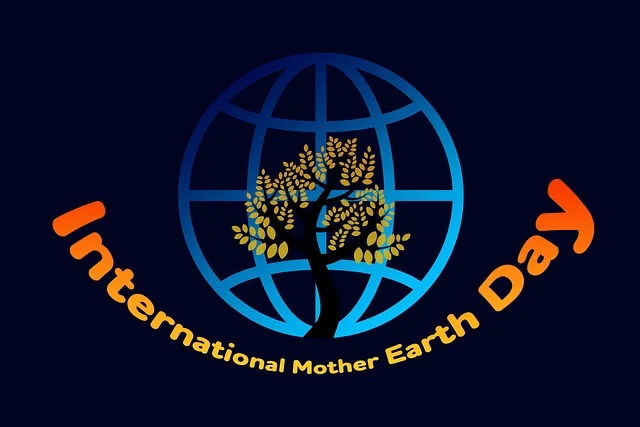 버려진 시골 집, 친환경 창업 공간으로 바꾸는 법