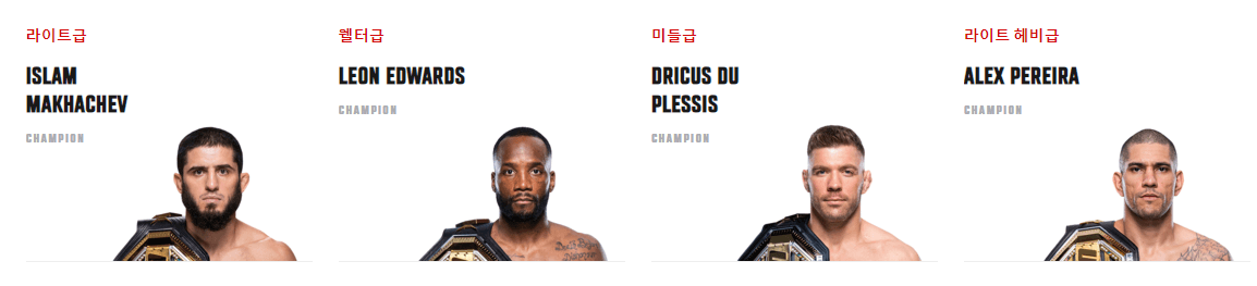 UFC 챔피언