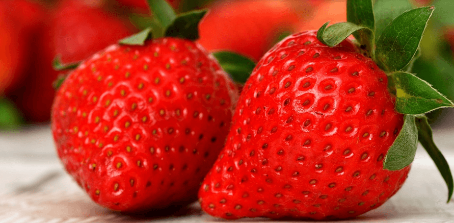 과일 딸기 사진 - 05