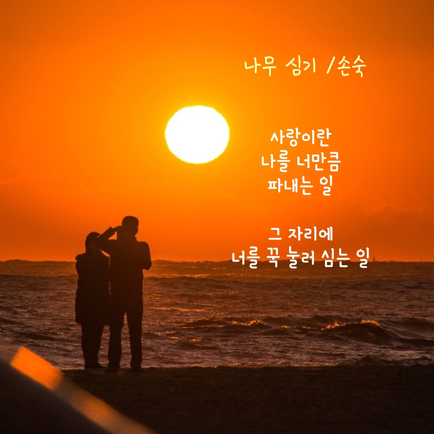 나무 심기 / 손숙