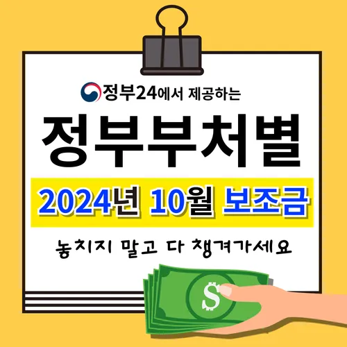 정부부처별 보조금 분석 - 2024년 10월