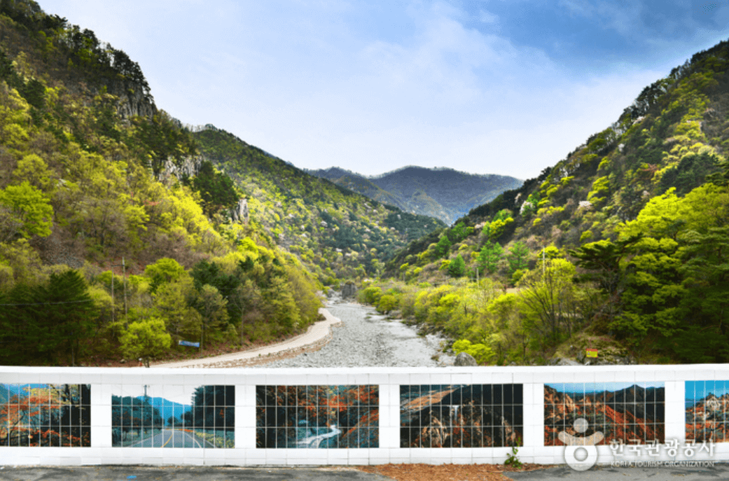 영덕군 옥계계곡