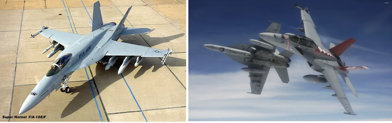 (좌) F/A-18E 단좌형, (우) F/A-18F 복좌형