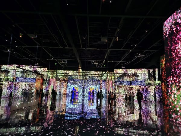 장미구역3