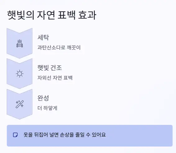 자연 표백