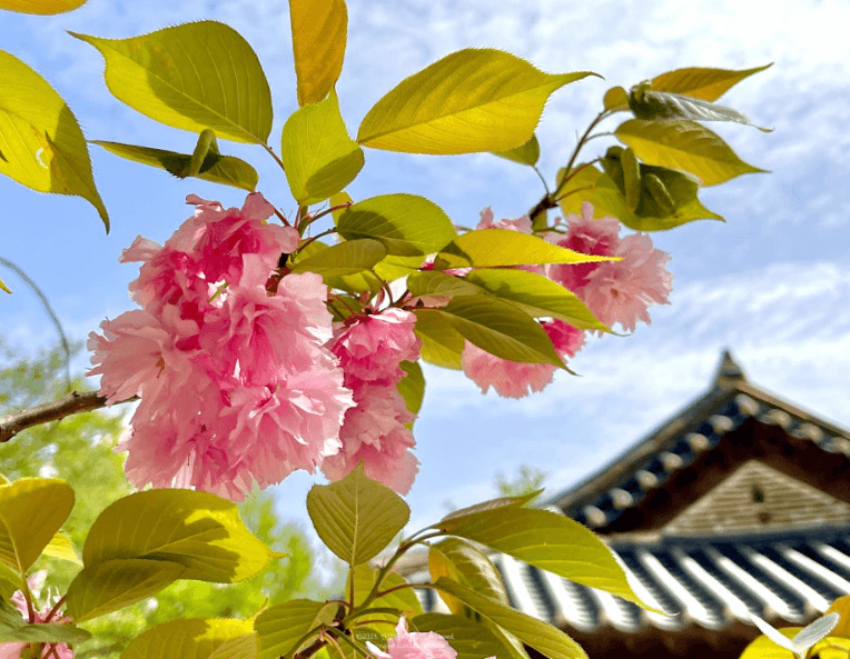 허균&middot;허난설헌기념공원 