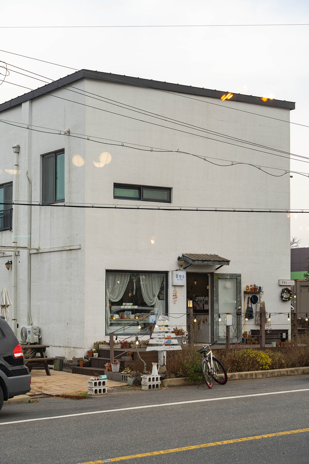 제주 애월 카페 꽃향유