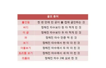 골프 초보자를 위한 용어 정리_13