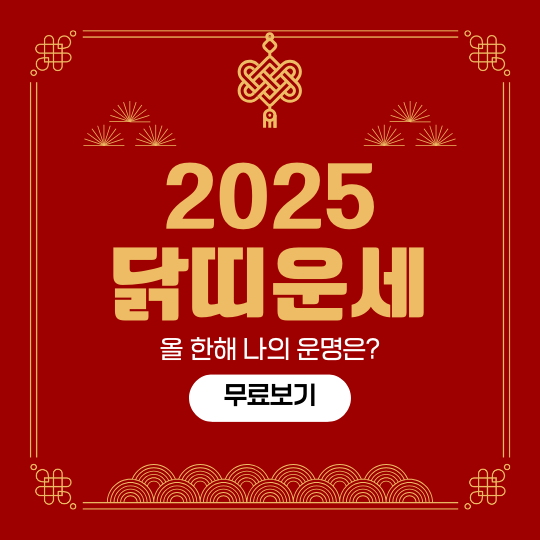 닭띠 2025년 운세 – 나이별 운세 총정리