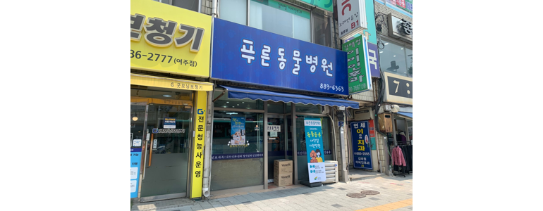 여주시 동물병원