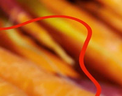 당근 효능 부작용