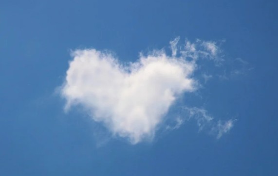 e편한세상 헤이리 서울시 장애인 특별공급 기관추천