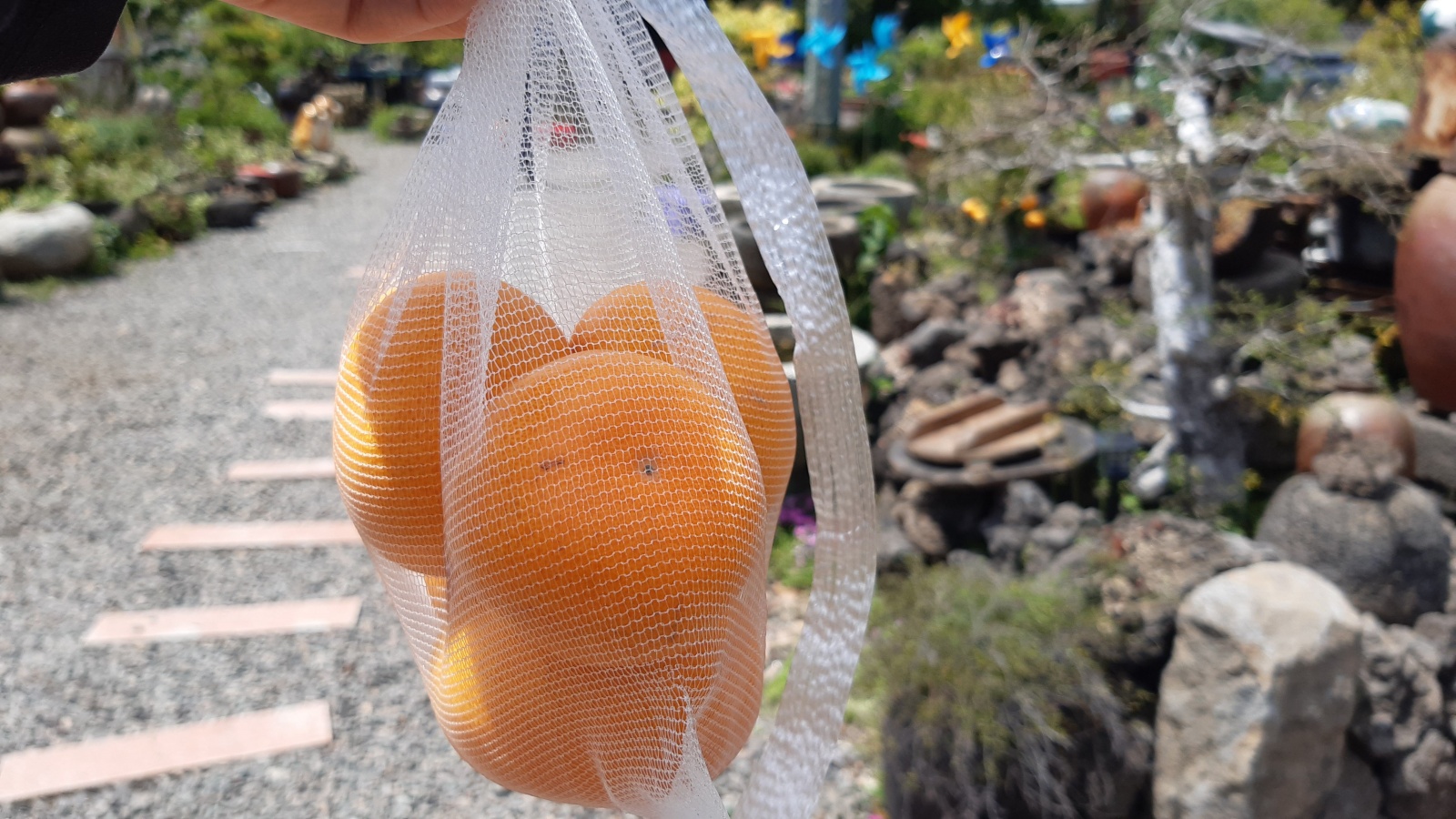 산물관광농원