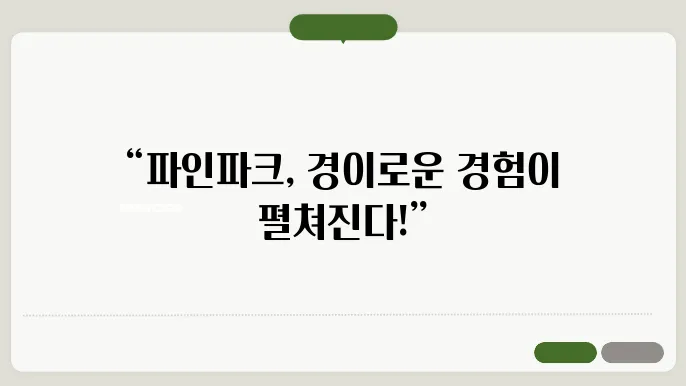 파인파크 어유 안내의 홈페이지 https://pinepark.co.kr/