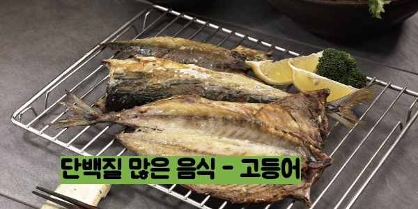 단백질 많은 음식