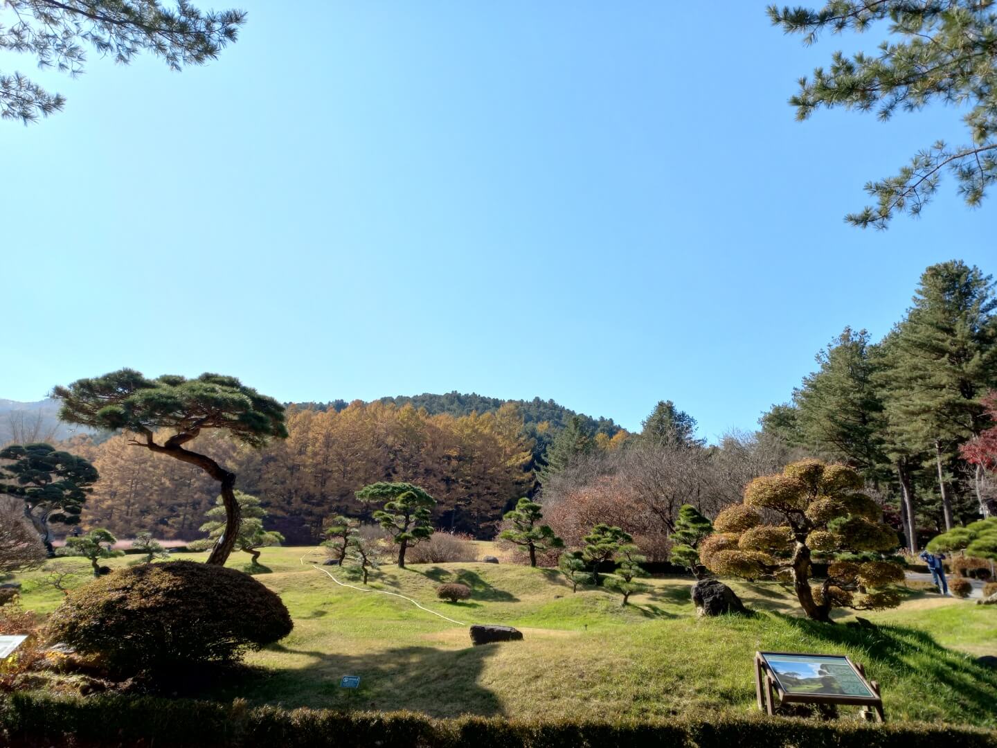 가평 오색별빛정원 축제