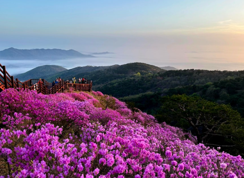 고려산