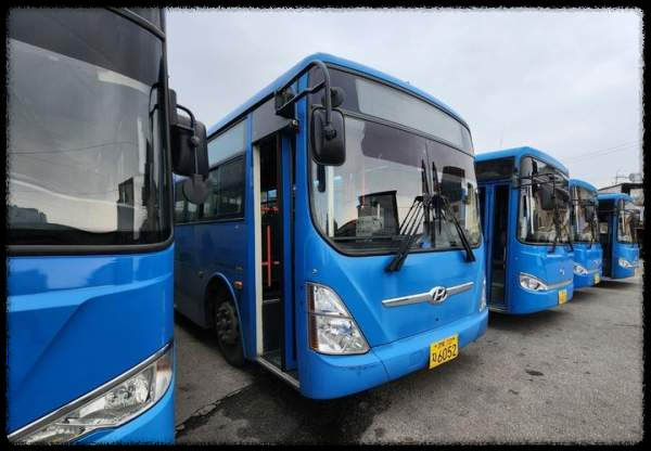 경북 지역 활성화를 위한 무료 버스 도입과 확산