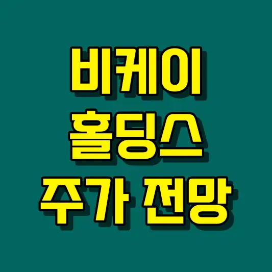 비케이홀딩스 주가 전망
