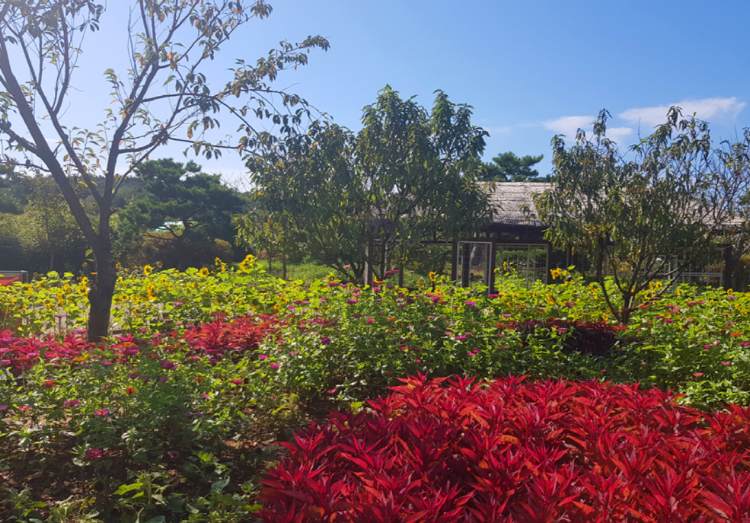 코리아플라워파크