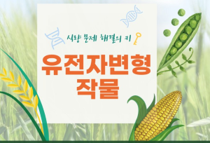 유전자 변형 작물 이미지