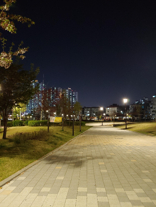 밤의-피크닉-밤의-산책-@신천공원